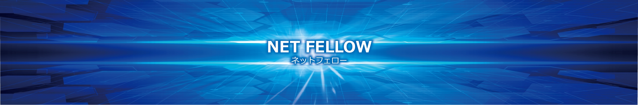 NET FELLOW